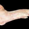 S__642490399