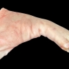 S__639991822